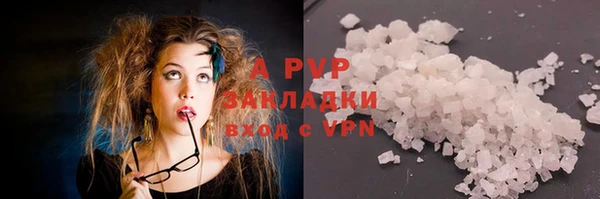 спайс Арсеньев