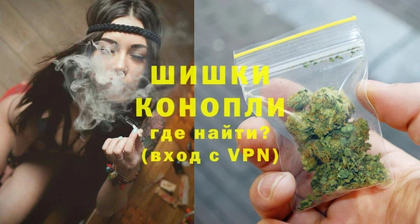 спайс Арсеньев