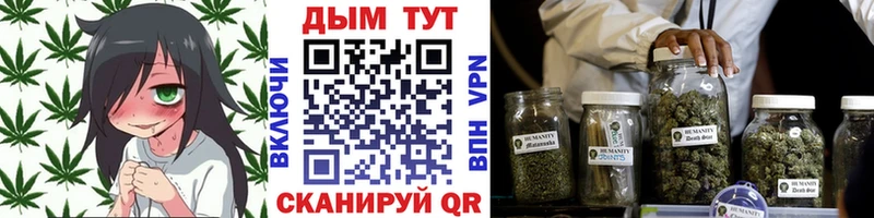 Канабис план купить наркотик Кириши